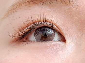 ウィッチェリー(Witchery)/ブラウンエクステ1