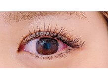 ペルシャ(Persian)/デザイン[若葉/坂戸]