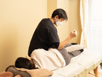 ブレイン+プラス/腰の疲れも