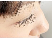 テイラー(Taylor)/120本　SATO