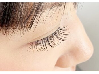 テイラー(Taylor)/120本　SATO