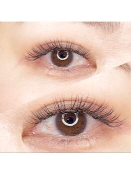 デイジー アイラッシュ(daisy)/圧倒的支持のマツエクメニュー