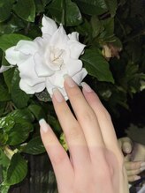 シネイル スパ(c.nail spa)/