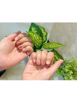 定額メニューのあるサロン