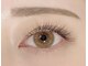 アイラッシュムーア(eyelash MUA)の写真