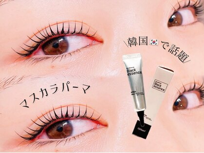 アンズ(ANZU.)の写真