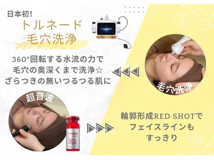 クレビア 本店(Crevia)の写真