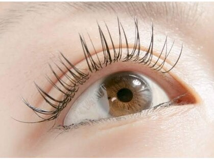 ノエル 下北沢(Noel)の写真