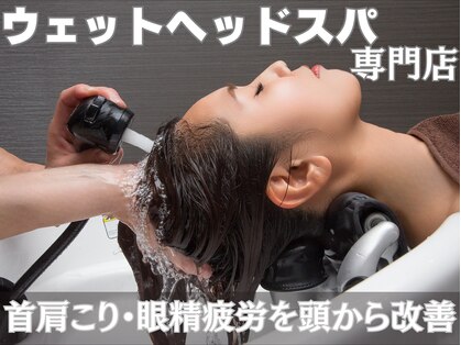 ストリクス(STRIX)の写真