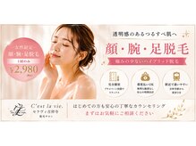 セラヴィ 吉祥寺店