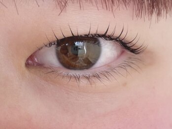 アイラッシュサロンラコタ 池袋東口店(RACOTA)/ラッシュリフト