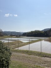 レーカ(Laka)/サロンの目の前は田園