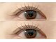 エルブリンク(elblink)の写真