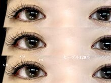 ネフェル(nefer)/セーブル120本