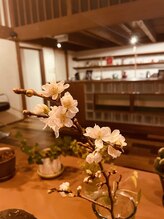 チェッコリ(CHECCOLY)/大好きな桜が店内にも♪