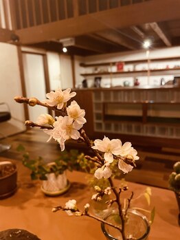 チェッコリ(CHECCOLY)/大好きな桜が店内にも♪