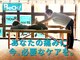 ベッチ(BeCH!)の写真