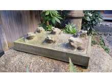 リカ/６匹のカエルがお出迎え