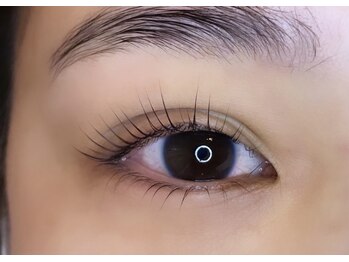 コリー(Kolly)/上下ラッシュリフト