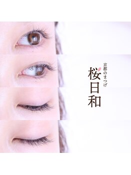 京都のまつげ 桜日和/フラット/グレーカラーマツエク