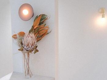 ファブアイラッシュ(f ab .eyelash)/店内風景