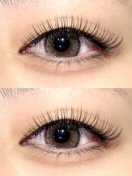 ポルテニーロクキュー ブレス(LASH&BROW PORTE269×brace)の写真/【最新フラットラッシュ☆120本¥7000】軽くて柔らかい付け心地♪目元に馴染みやすく圧倒的なモチの良さも◎
