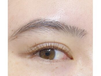 シュシュ(chou chou)/シアーブラウン☆マツエク