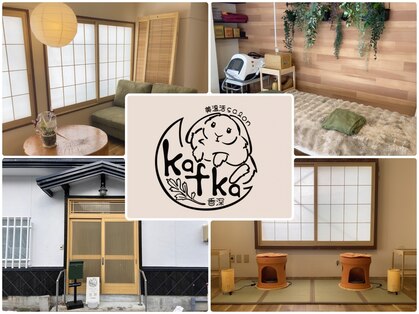 カフカ(kafka)の写真