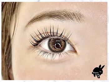 バニーラッシュ(Bunny Lash)/【パリジェンヌラッシュリフト】