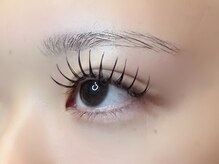 フリー#240(Free#240)/ダブルフラット240本