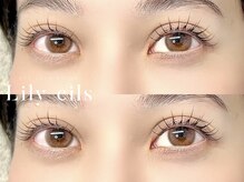 リリーシル(Lily cils)/フラットラッシュ120本