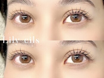 リリーシル(Lily cils)/フラットラッシュ120本