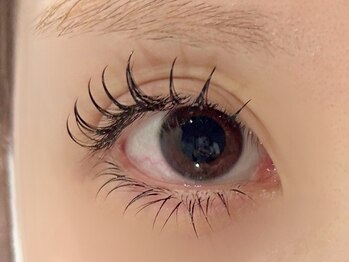 ファーストネイルアンドアイラッシュ(1st NAIL&eyelash)/LED120本 (束感仕上げ)下まつげ