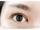 アイ シャイン(eye shine)の写真