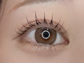 リット 恵比寿西口店(lit.)/束感ラッシュリフト