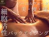 体質から紐解く原因の追究『全身アーユルヴェーダ体験』¥20000