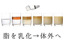 ドクターヴィー 高知(DrVi)/脂肪を分解して体外へ流す