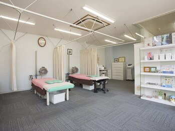 ハナノ整体院/老人ホームでのポランティア