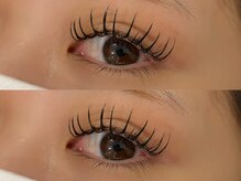 コノハ(KONOHA)/フラットラッシュ120本