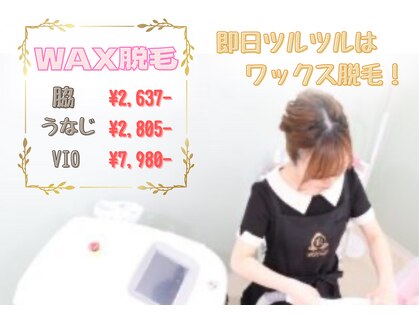レヴィート(Revept)の写真