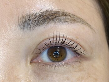 カラーリゾート Ai 葛西店/パリジェンヌラッシュリフト