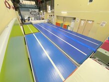 アクロバットジムホワイト/