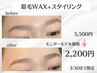 3/30まで《モニターモデル様》【眉毛WAX+スタイリング/¥2200】