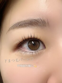 プラスアイ 赤羽東口店/上下まつ毛パーマ/担当:田中