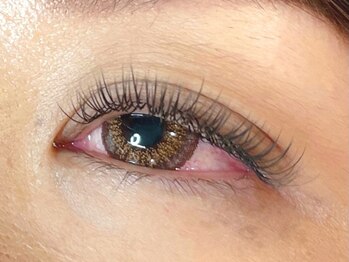 ウルカ アイラッシュ(uruka EYELASH)/フラットラッシュ 180本