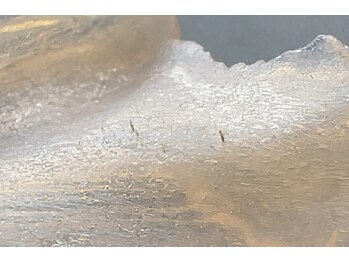 ホワイトワックス 京都四条烏丸(WHITE WAX)/《全顔》フェイシャルワックス