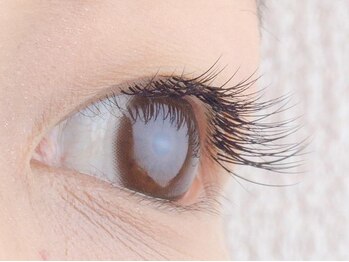 アイラッシュ ビーワークス(b-works)/上100本