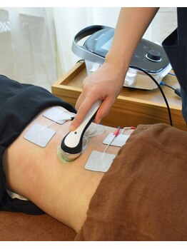 シープ(Sheep)/インテレクトコンボ