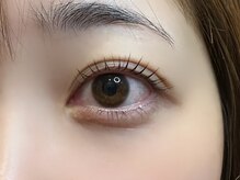 フリー#240(Free#240)/ラッシュリフト上下