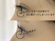 セイン 根津 千駄木(Sein)/下逆さまつげ矯正